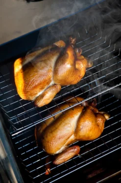 Bradley Digital Smoker 4-Rack / Elektro Räucherofen 13 Bradley Digital Smoker 4-Rack / Elektro Räucherofen -Grillen im Freien 13238 Bradley Smoker Gefluegel