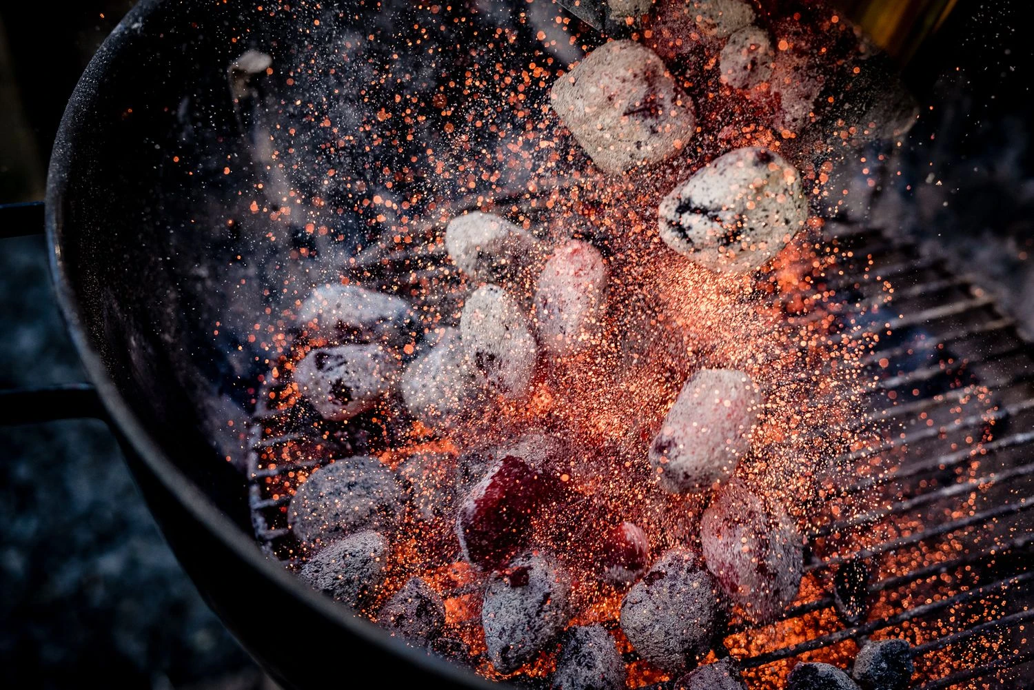 BlackSellig Beach Kokosbriketts 10 Kg 4 BlackSellig Beach Kokosbriketts 10 Kg – Bild 4