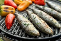 CADAC Camping Gasgrill Grillo Chef 40 / BBQ + Dome - 50 Mbar 13 CADAC Camping Gasgrill Grillo Chef 40 / BBQ + Dome - 50 Mbar -Grillen im Freien CADAC Gasgrill Grillo Chef 40 Grillrost 1