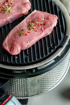 Cobb Grill Premier Gas Deluxe 2.0 - Gasgrill - Kartuschenanschluss - Modell 2023 -Grillen im Freien Cobb Grasgrill Premier Deluxe 2 Griddle Grillplatte