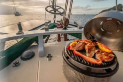 Cobb Grill Supreme Deluxe 2.0 Holzkohlegrill - Modell 2023 11 Cobb Grill Supreme Deluxe 2.0 Holzkohlegrill - Modell 2023 -Grillen im Freien Cobb Grill Supreme Deluxe 2 0 600 1 Griddle