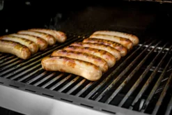 Grillfürst G210E 2-Brenner Gasgrill Mit Hochtemperaturbrenner Und Edelstahl Rosten -Grillen im Freien Grillfuerst Gasgrill G210E Bratwurst