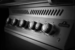 Napoleon 700-Series 38" BIG38 Edelstahl Einbaugrill Inkl. Drehspieß - Modell 2023 37 Napoleon 700-Series 38" BIG38 Edelstahl Einbaugrill Inkl. Drehspieß - Modell 2023 -Grillen im Freien Napoleon Einbaugrill 700 Series BIG38 Bedienblende