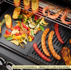 Rösle Gasgrill Magnum PRO G4-S - X-DEAL Inkl. Abdeckhaube, Gusseisen Grillplatte Und Drehspieß - Modell 2023 25 Rösle Gasgrill Magnum PRO G4-S - X-DEAL Inkl. Abdeckhaube, Gusseisen Grillplatte Und Drehspieß - Modell 2023 -Grillen im Freien Roesle Magnum Pro G4 S Grillflaeche