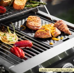 Rösle Gasgrill Videro G2-P Campinggrill -Grillen im Freien Roesle Videro G2 P Gasgrill Beispiel mit Grillplatte