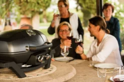 Napoleon TravelQ PRO285 Kompakt Gasgrill Schwarz - Modell 2023 -Grillen im Freien napoleon travelq pro285 als tischgrill 02
