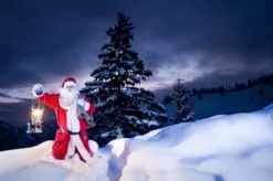 Petromax Petroleumlampe HK500/829 Chrom 37 Petromax Petroleumlampe HK500/829 Chrom -Grillen im Freien petromax starklichtlampe hk500 px5c 20